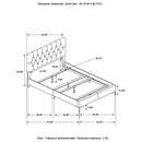 Kendall - Panel Upholstered Bed