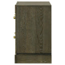 Gran Park - 2-Drawer Nightstand Bedside Table - Dark Cocoa