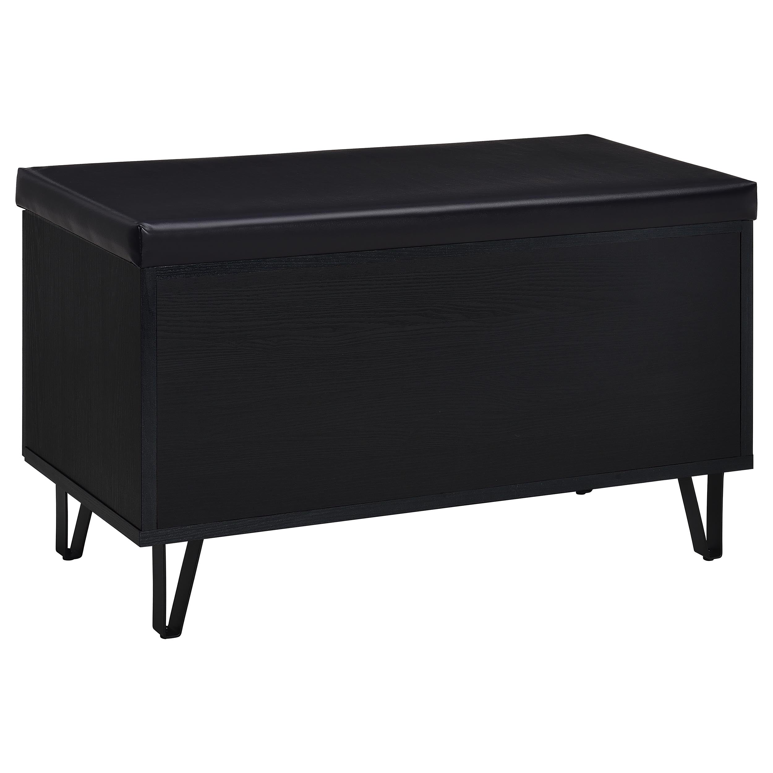 Brixton 2-door Padded Entryway Shoe Storage Bench Black — view 7