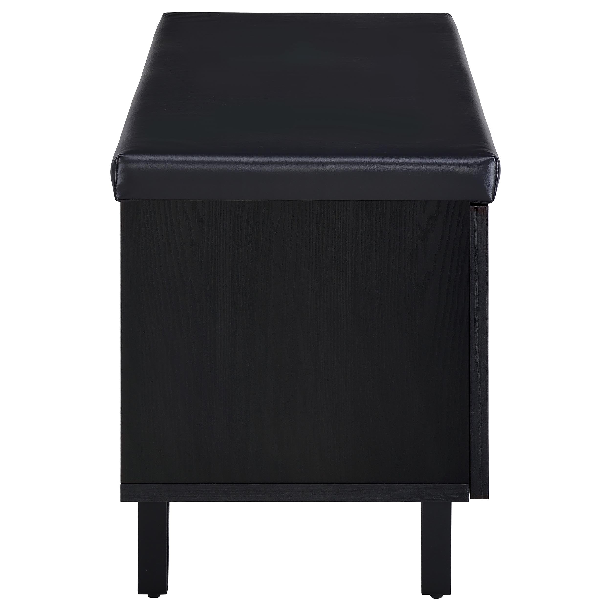 Brixton 2-door Padded Entryway Shoe Storage Bench Black — view 9
