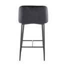 Fran - Contemporary Fixed Height Counter Stool (Set of 2)