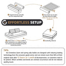 Multifunctional Convertible Sofa Bed With 2 Tumbler Backrests And 2 Pillows, Deep Seat Couch