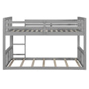 Solid Construction Bunk Bed & Ladder