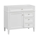 Bathroom Vanity Without Top Sink, Modern Bathroom Storage Cabinet With 2 Drawers And A Tip-Out Drawer