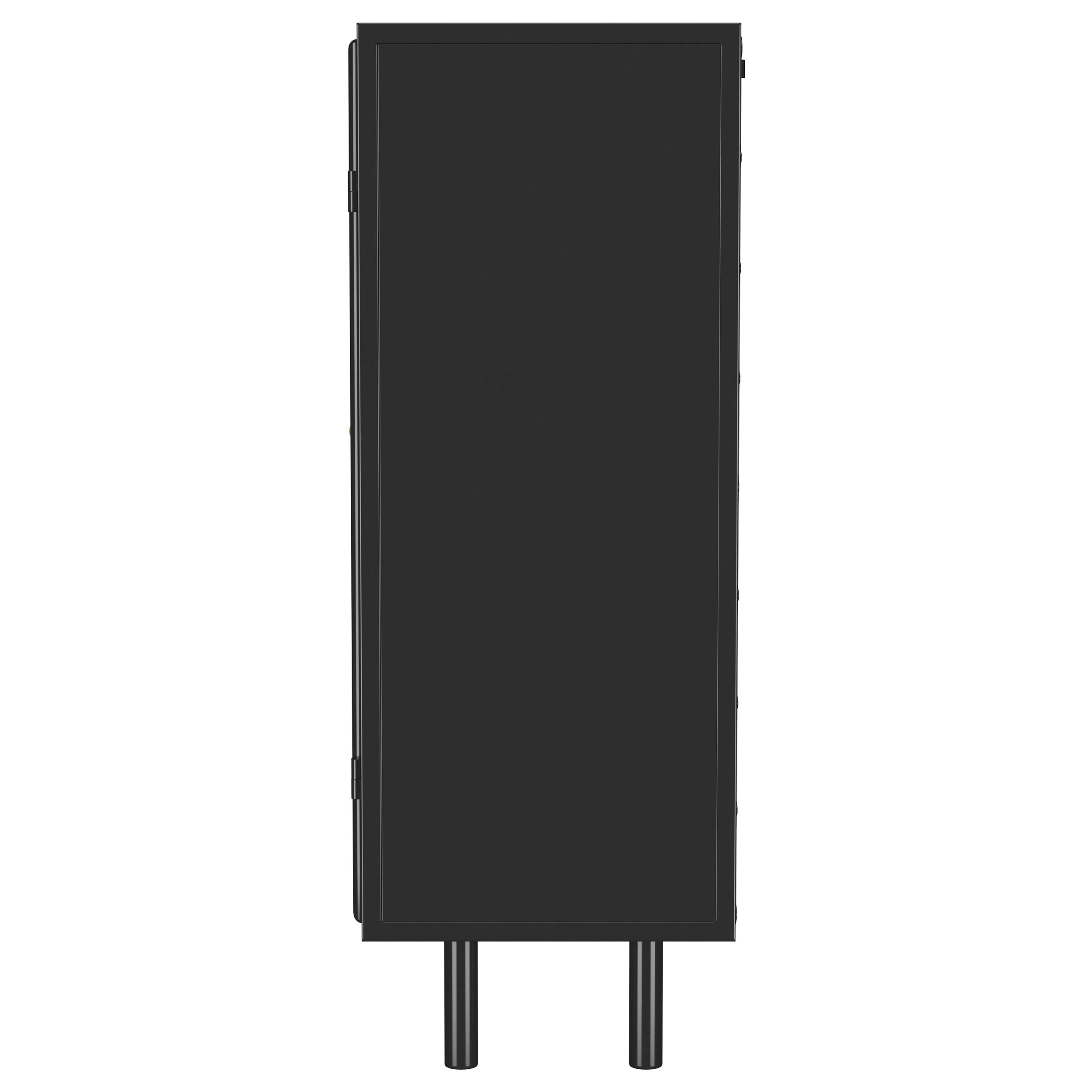 Dalia 2-door Accent Storage Cabinet with Shelving Black — view 4
