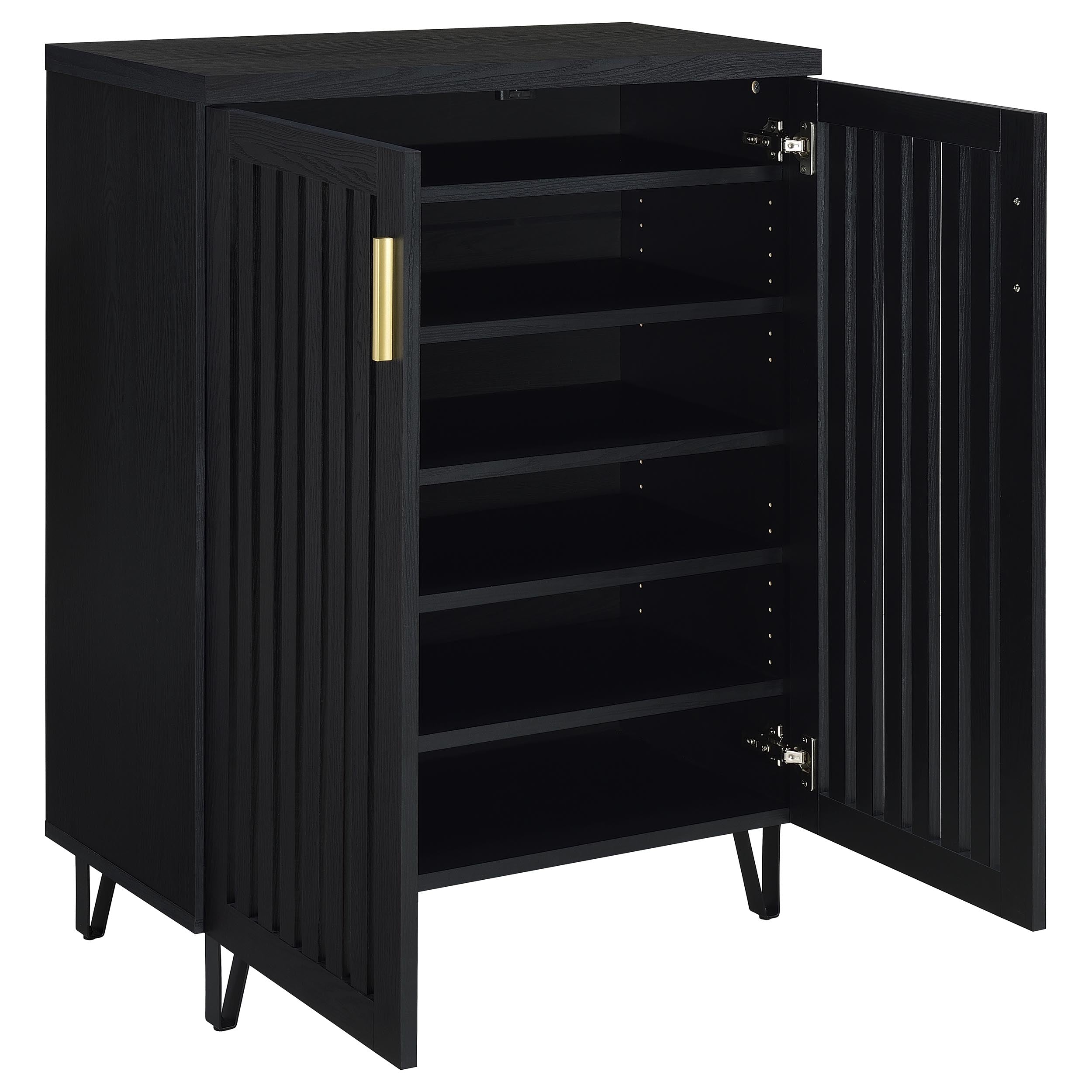 Brixton 2-door Entryway Shoe Storage Cabinets Black — view 3