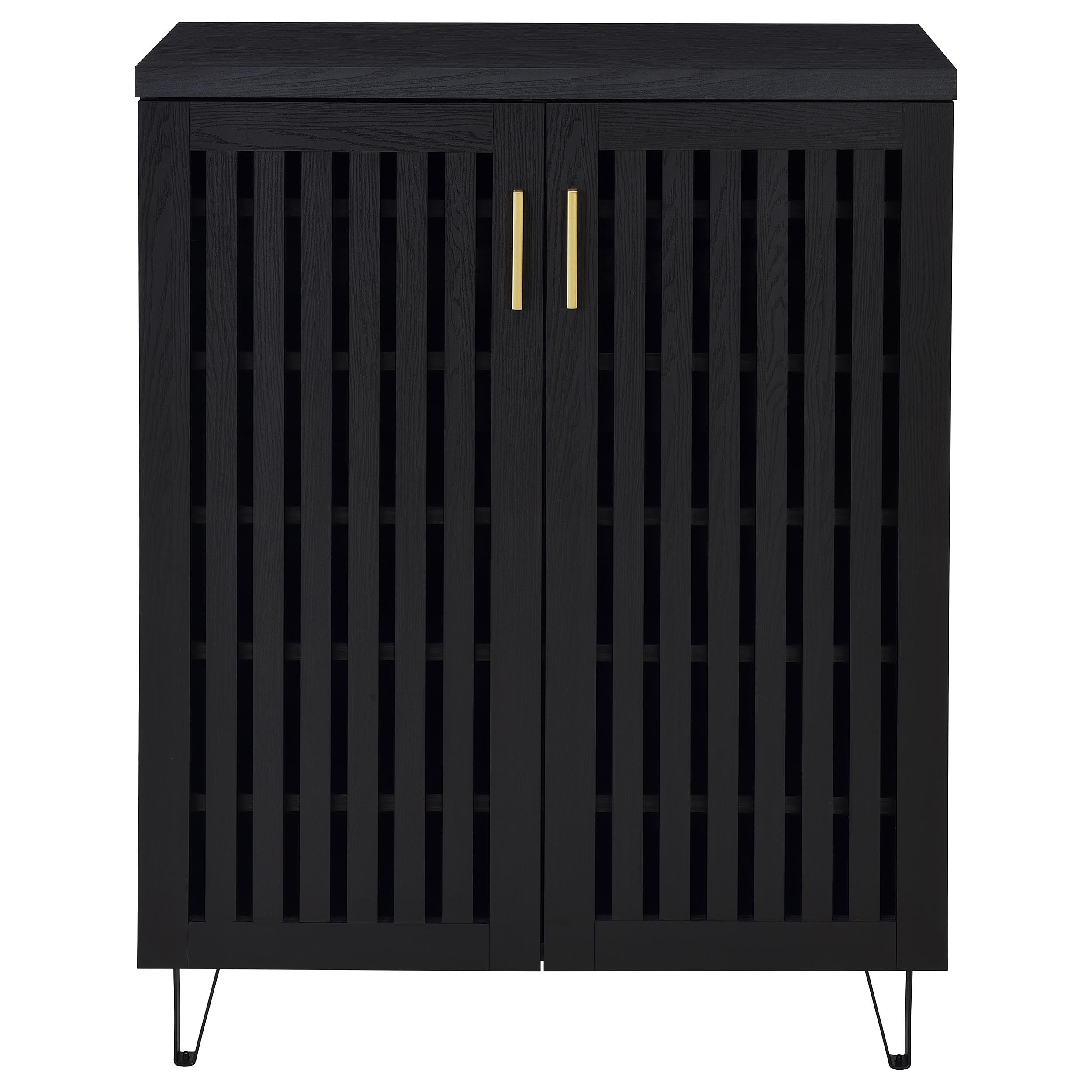 Brixton 2-door Entryway Shoe Storage Cabinets Black — view 4