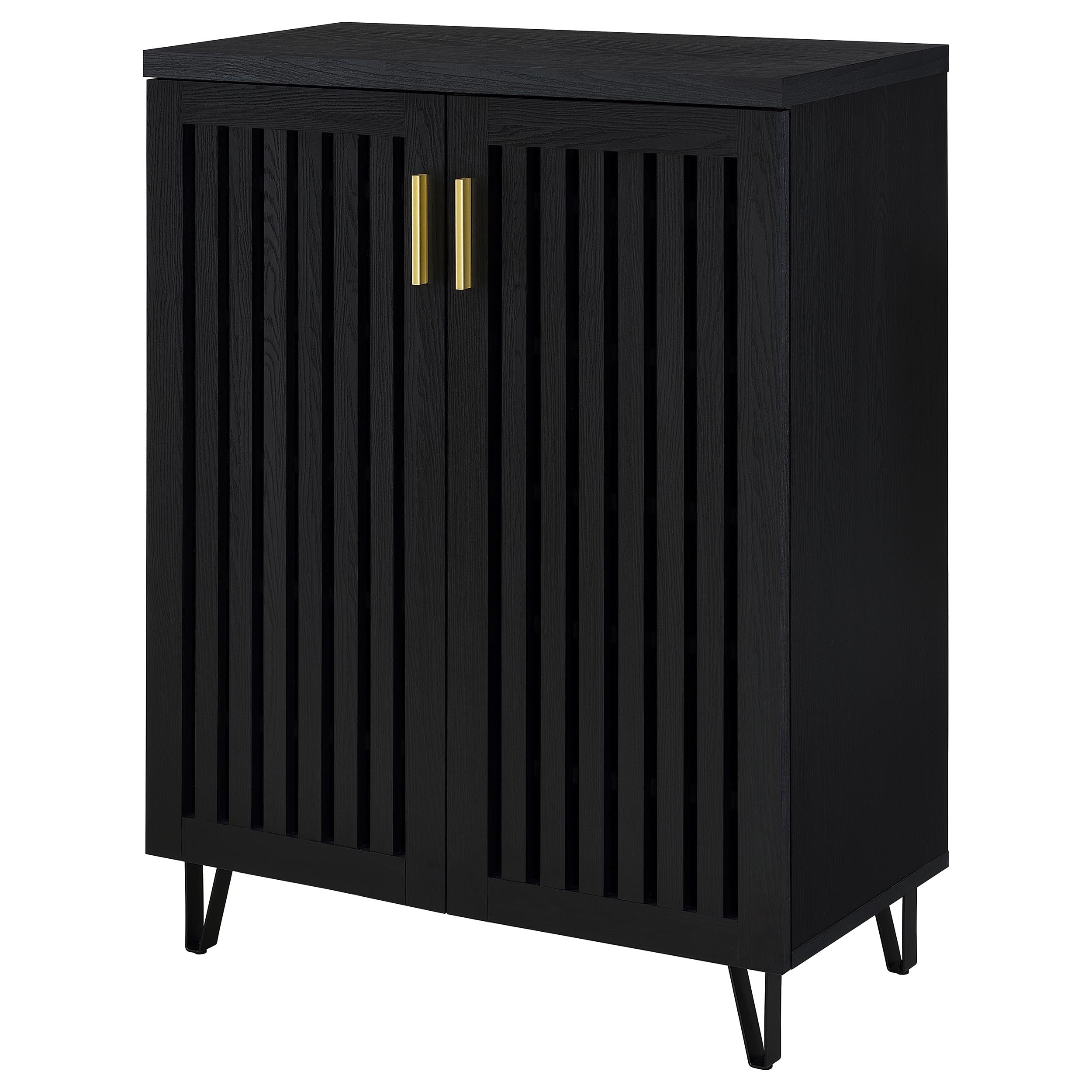 Brixton 2-door Entryway Shoe Storage Cabinets Black — view 5