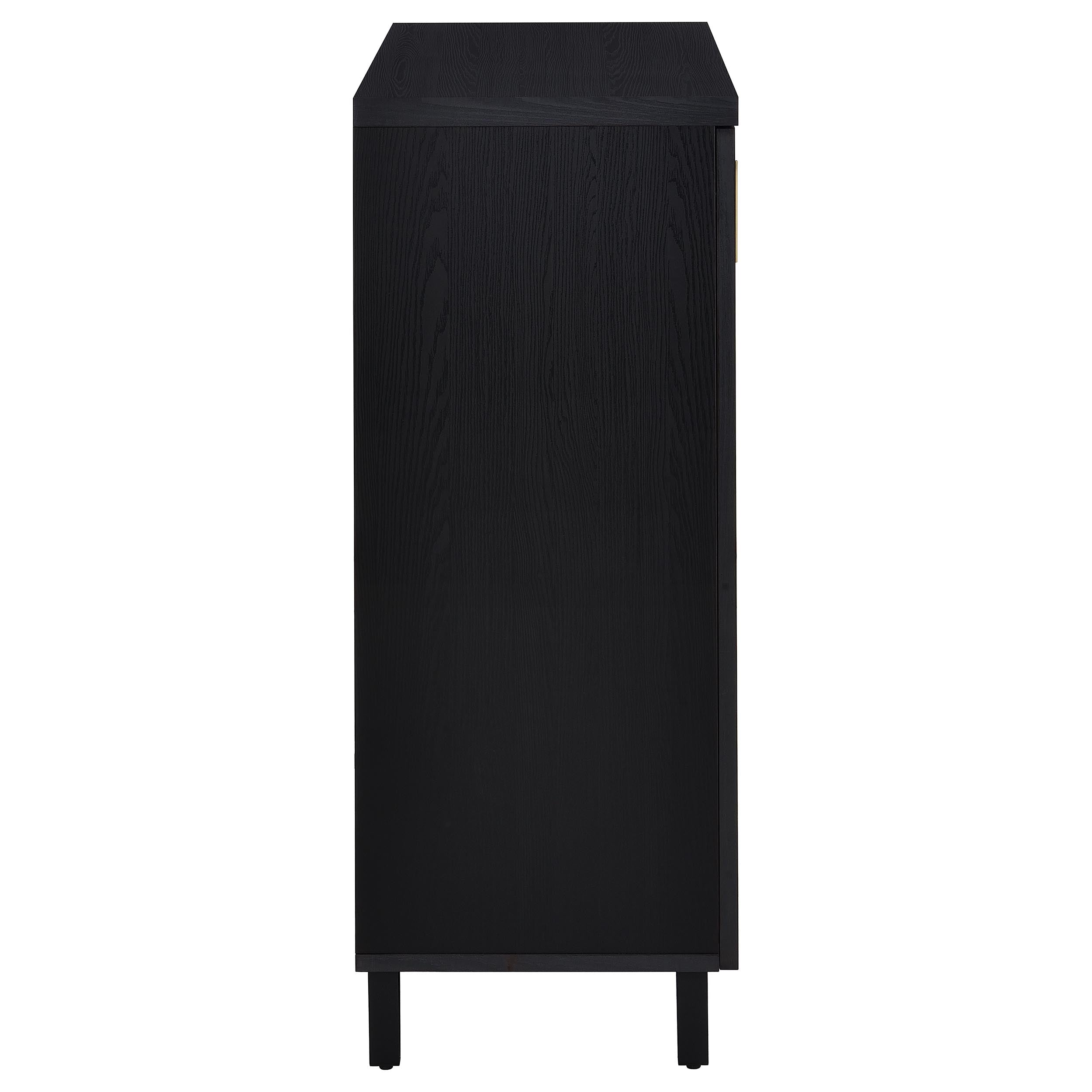 Brixton 2-door Entryway Shoe Storage Cabinets Black — view 9