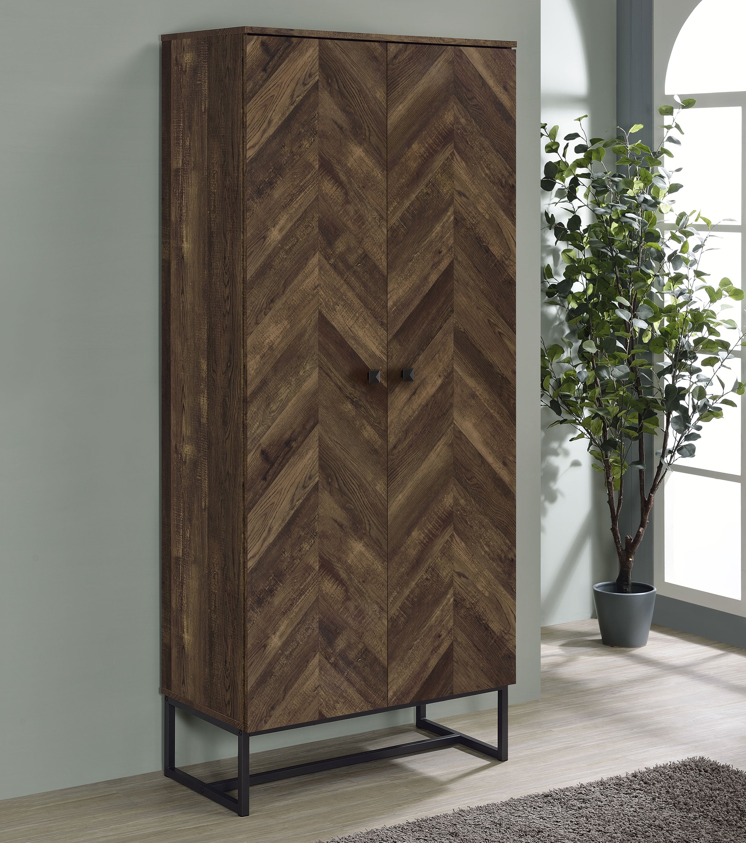 Carolyn 2-door Engineered Wood Accent Cabinet Rustic Oak — view 2