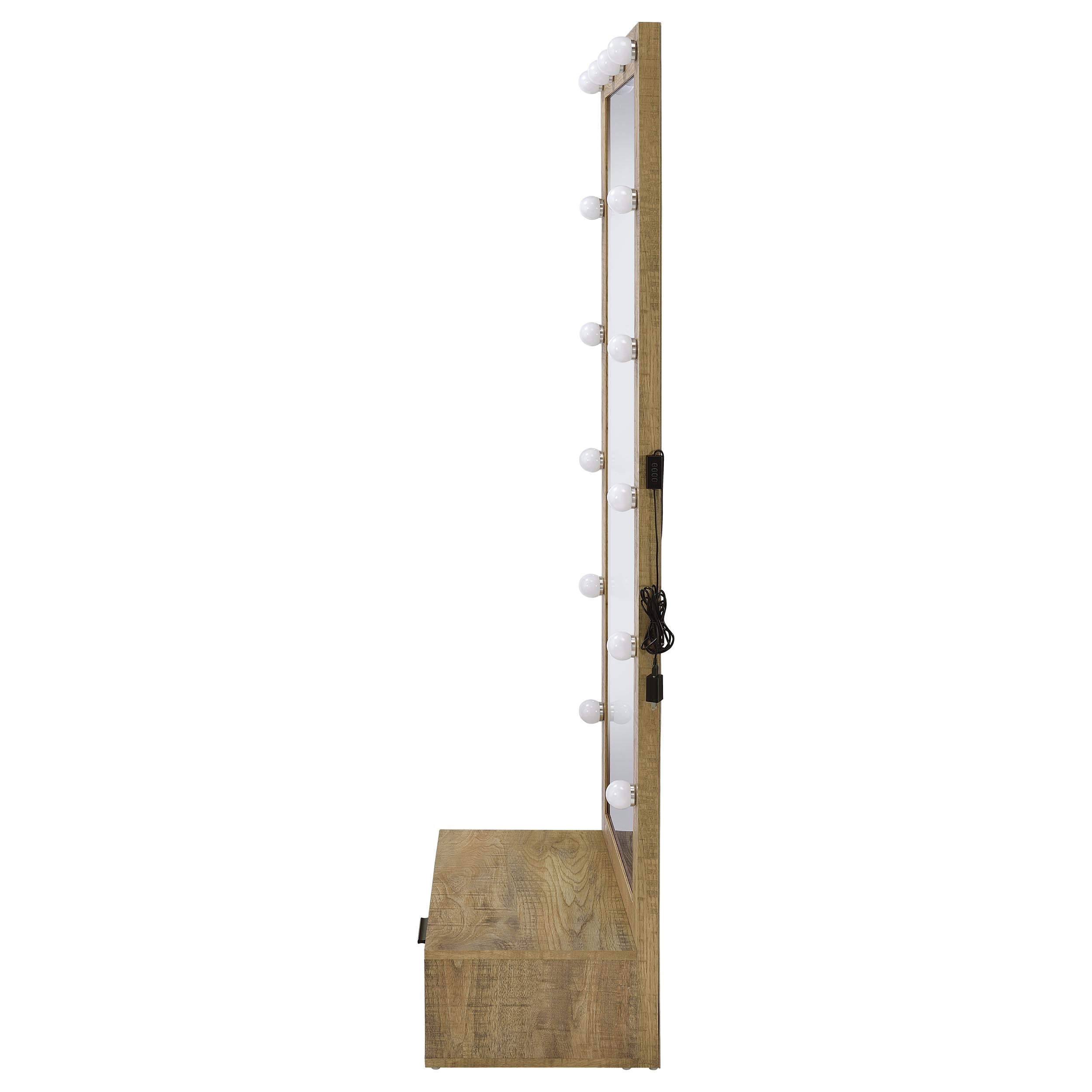 Spector 1-drawer Lighted Full-Length Floor Mirror Mango — view 8