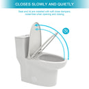Modern 1 Piece Toilet With Dual Flush And Soft Closing Seat - White