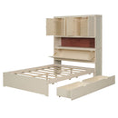 Platform Bed With USB, Storage Headboard & Drawers