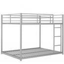 Metal Bunk Bed, Low Bunk Bed With Ladder