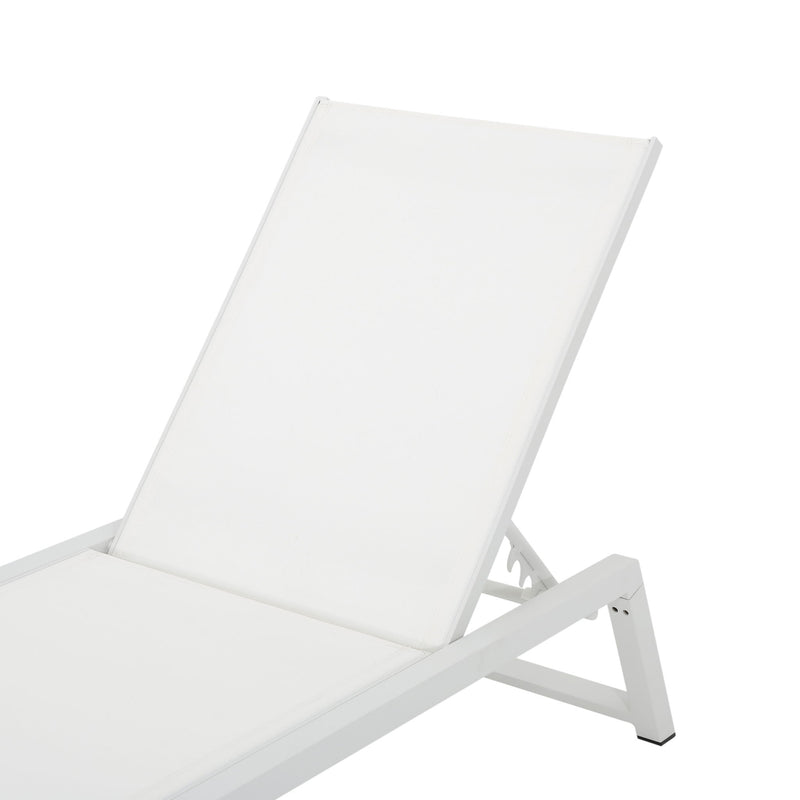 Myers - Modern Chaise Lounge Set With Adjustable Mesh Back