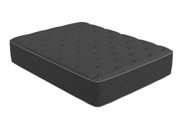 Jayden - 15.5″ Mattress