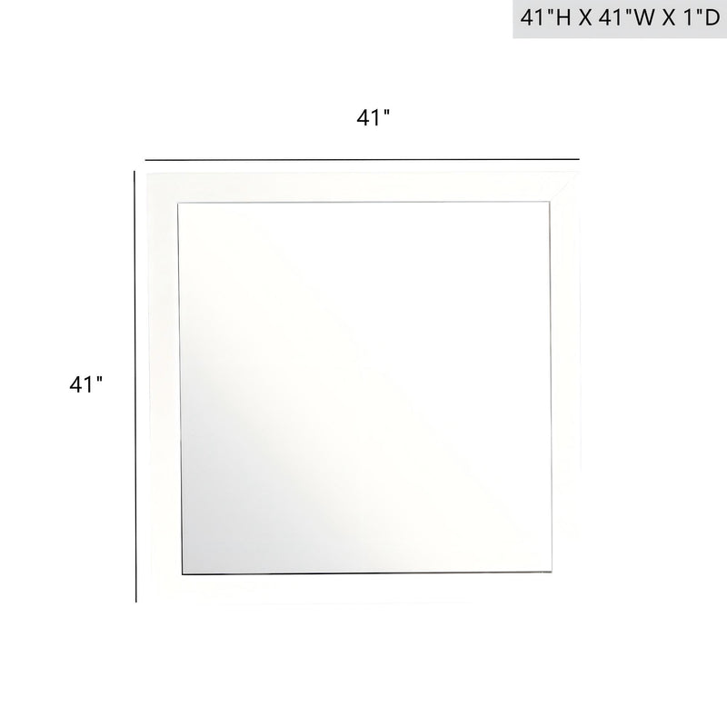 Modern Design Transitional Wall Mirror