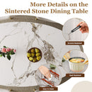 Steel Base Oval Sintered Stone Dining Table With 4 Chairs