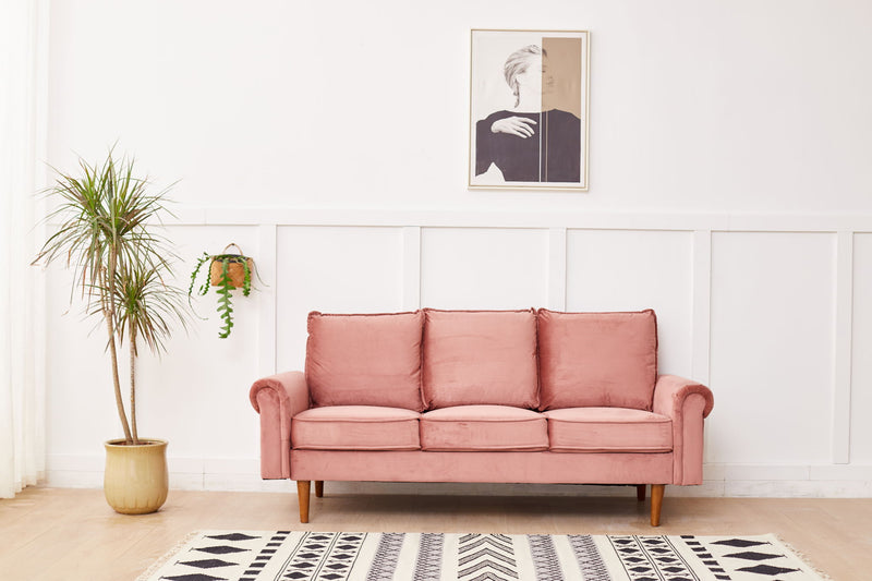 Graceful Design Plush Comfort Sofa
