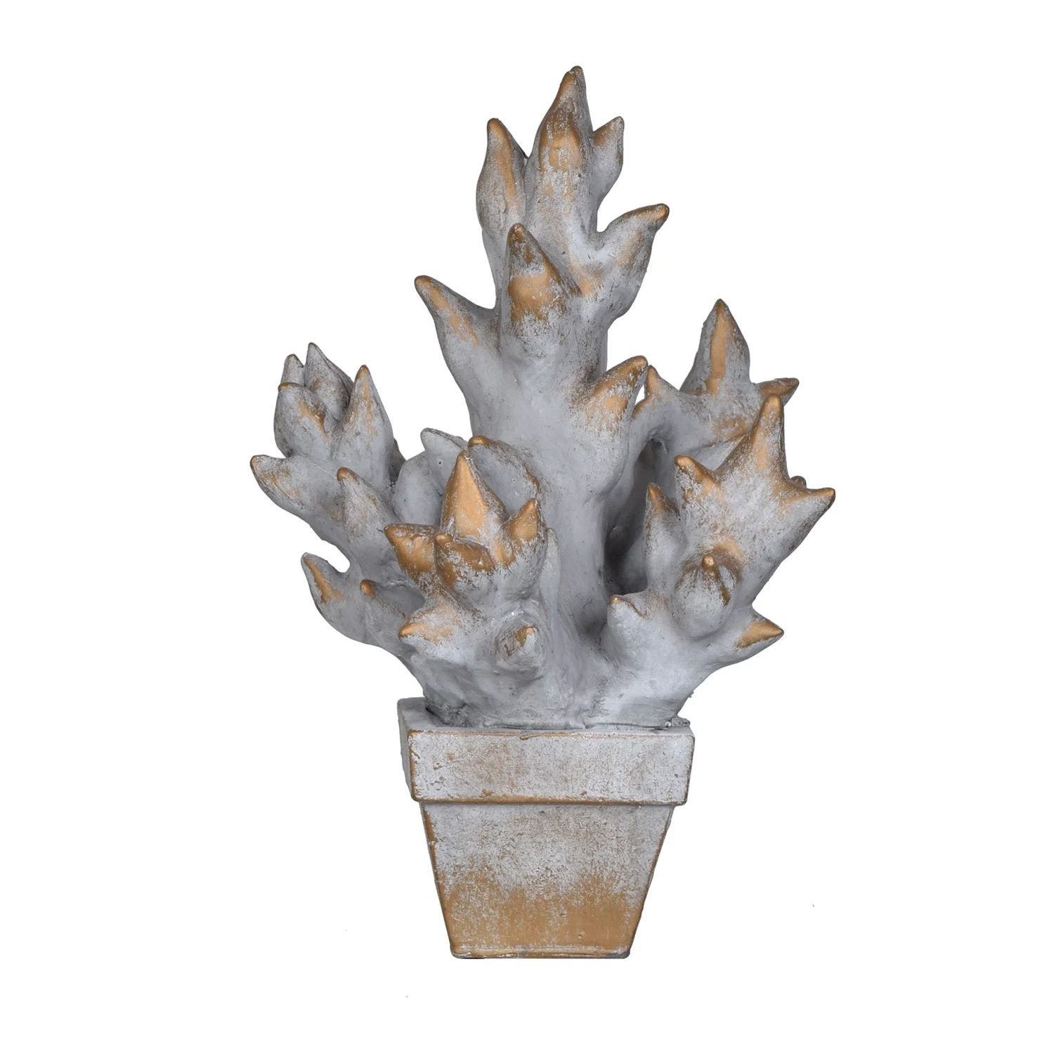 Succulent Pot Culture