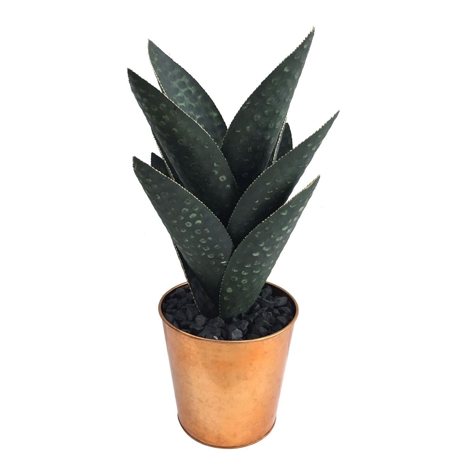 Medium Oasis Hand Finished Cactus