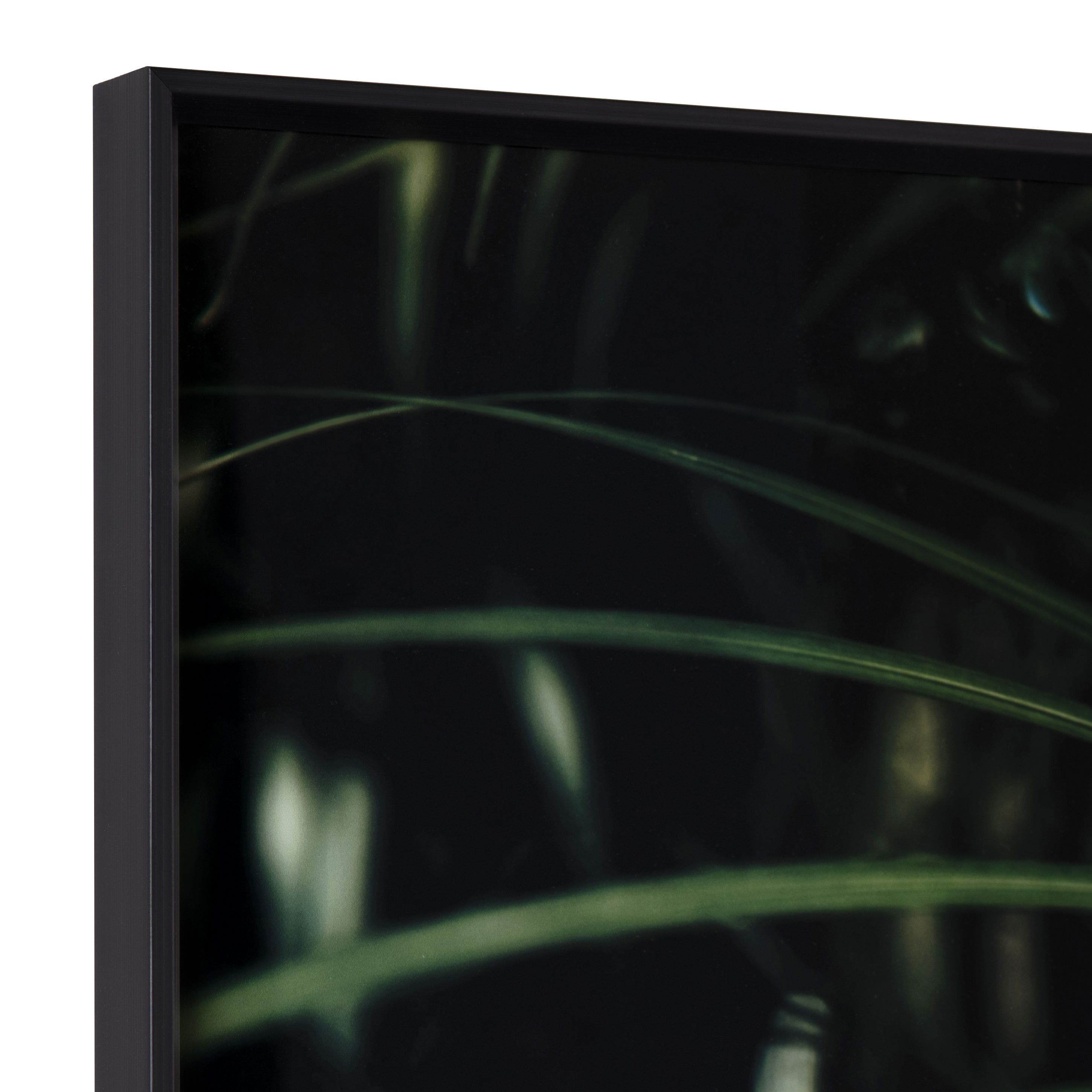 Safari Leaves 2 - Image 2