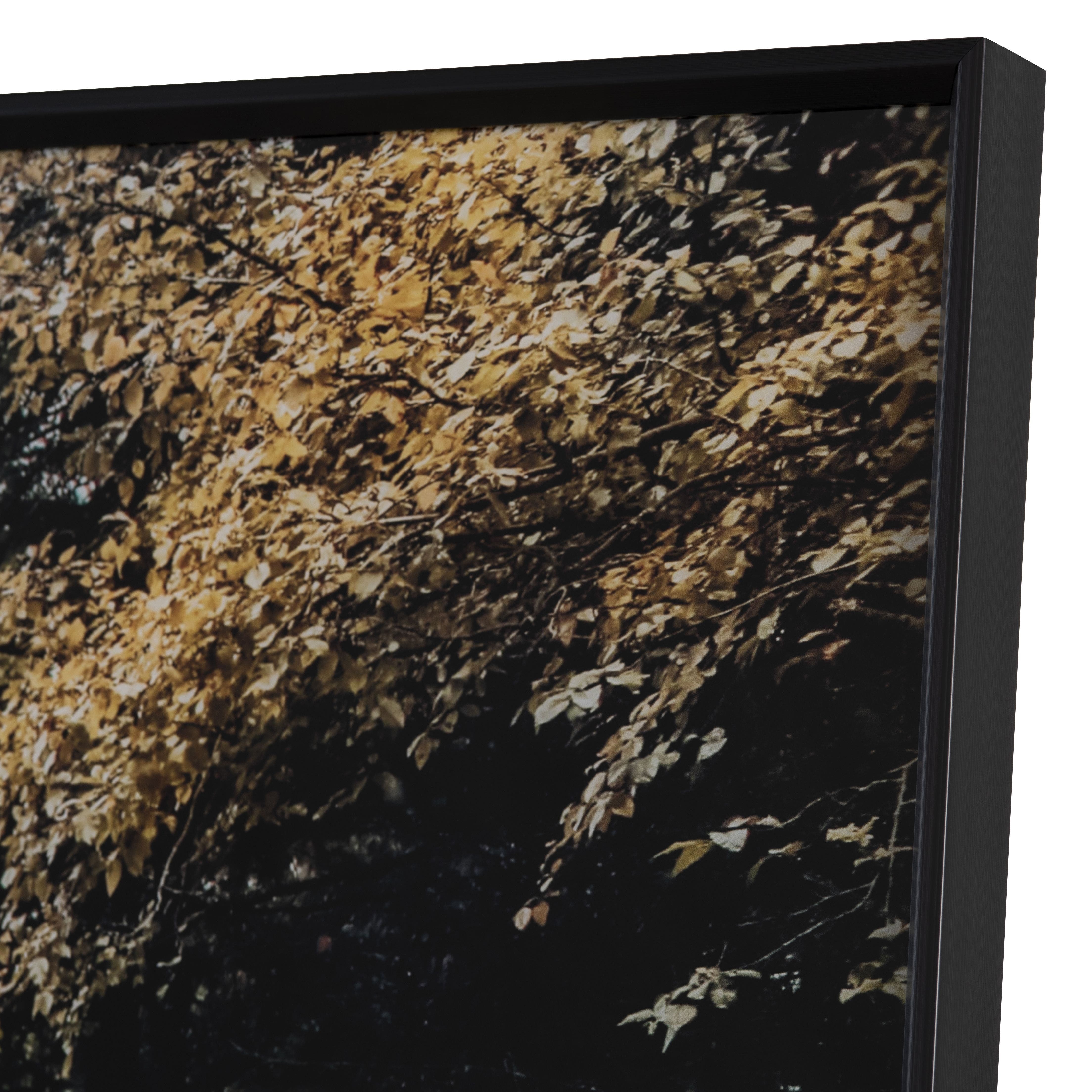 Autumn Tracks - Image 2