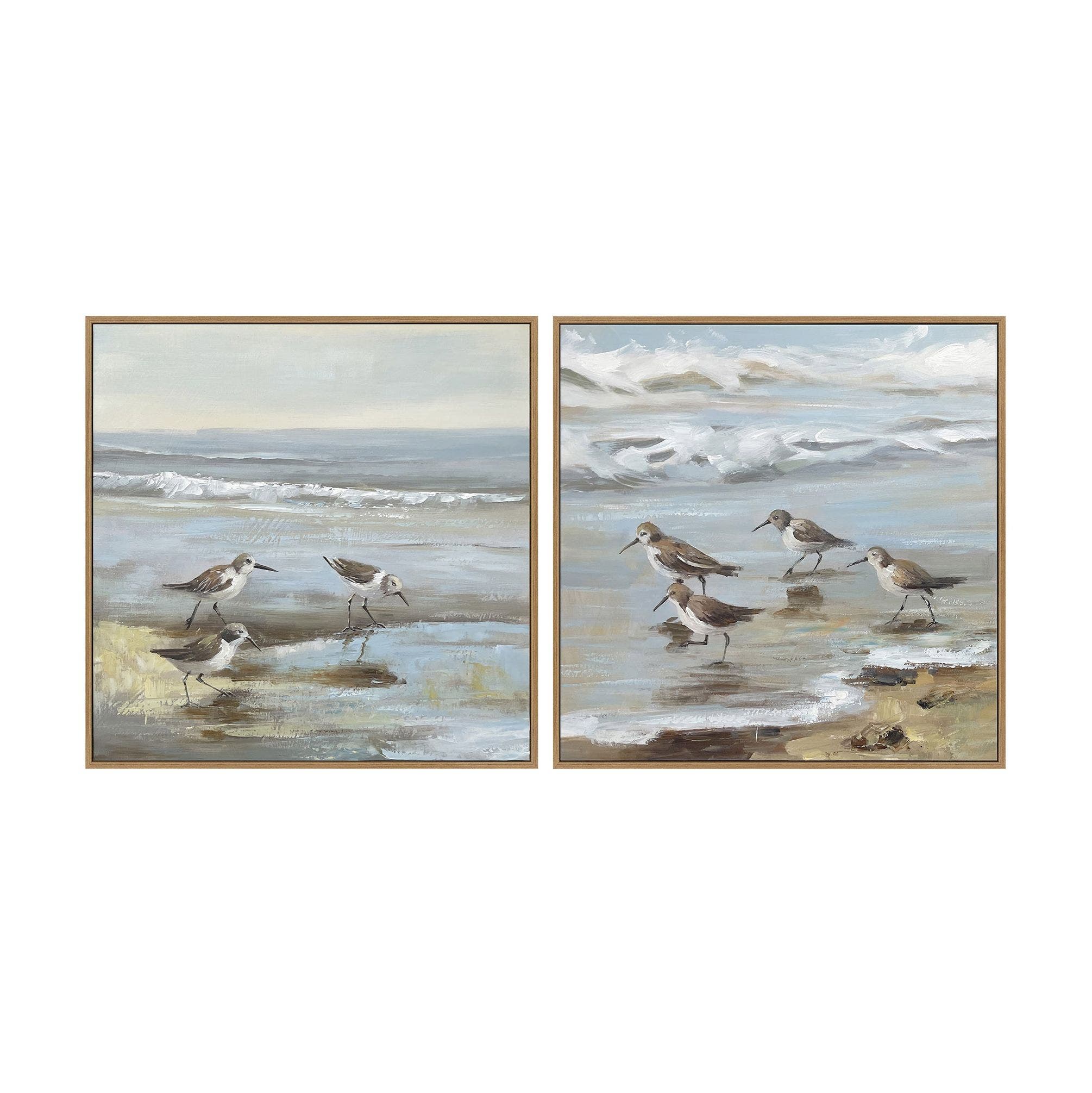 Sandpiper Reflections