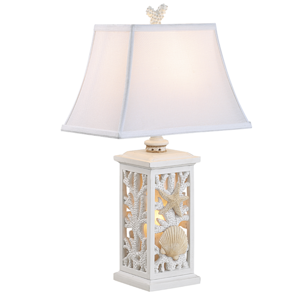 Accent Shell & Coral Night Light Table Lamp, White