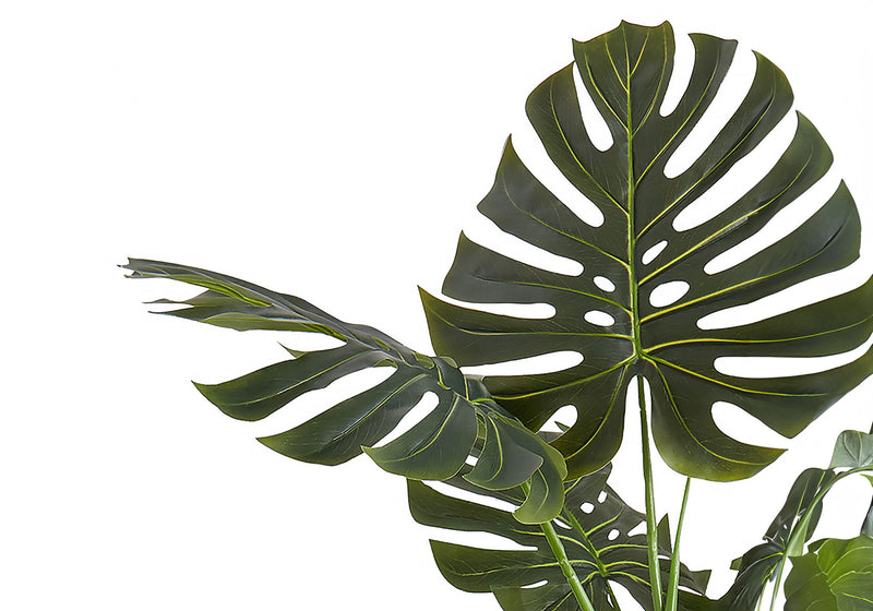 Artificial Plant, 55" Tall, Monstera Tree, Indoor, Faux, Fake, Floor, Greenery, Potted, Real Touch, Decorative - Green / Black