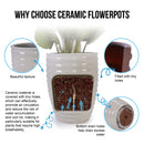 Flowerpot, Planter For Patio, Garden, Windowsill