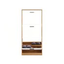 Modern Freestanding Shoe Storage Cabinet With 3 Flip Drawers