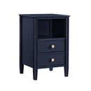 Winston - 2 Drawer Storage Nightstand