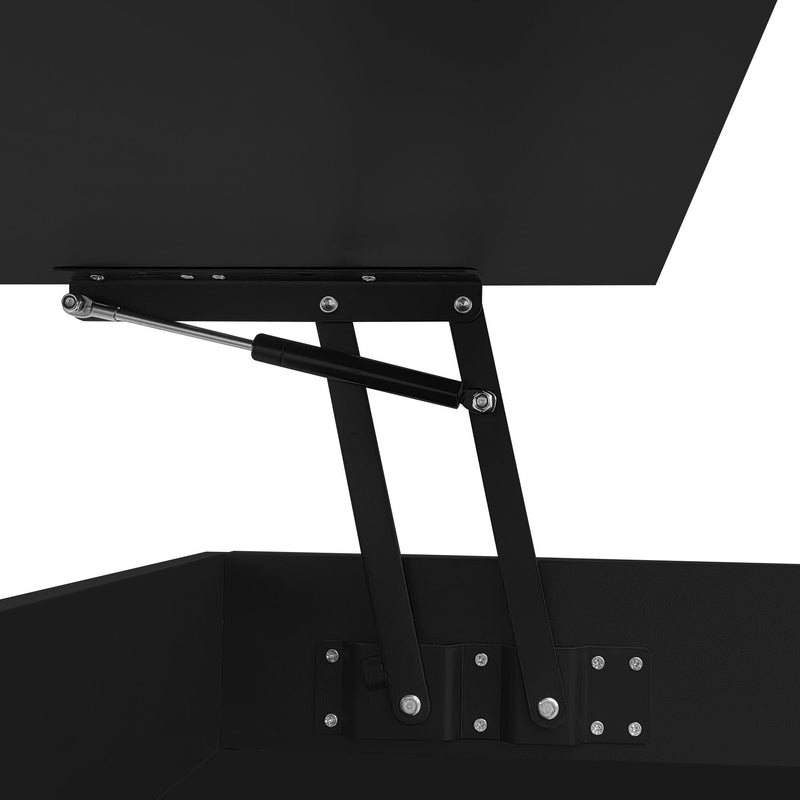 Multi Functional Lift Top Coffee Table With 2 Drawers