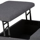 Ellis - Coffee Table Storage Ottoman Contemporary Design