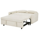 Pull-Out 2 Seat Modern Sleeper Sofa With 2 Throw Pillows And USB Ports