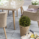 Artificial Ball Topiary Tree Decoration In Pot (Set of 2) - Green