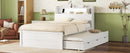 LED Platform Bed With Trundle With Storage Headboard With Drawers