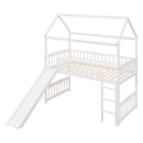 Loft Bed With Slide