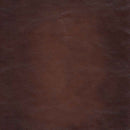 Newport - Leather Loveseat - Caramel