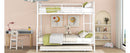 Contemporary Bunk Bed
