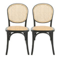 Vintage Style Dining Chairs (Set of 2)