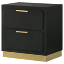 Modern Luxury Nightstand With 2 Drawer Storage