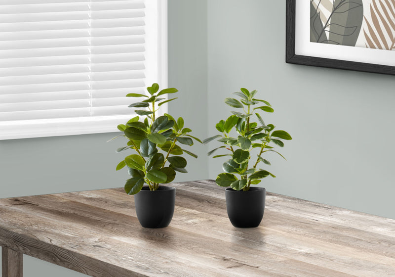 14" Tall, Artificial Plant, Ficus, Indoor, Faux, Fake, Table, Greenery, Potted, Decorative (Set of 2) - Green / Black