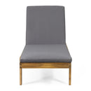 Nebulon - Outdoor Adjustable Chaise Lounge With Water Resistant Cushions (Set of 2)