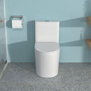 1 Piece Toilet For Bathroom, Soft Closing Seat, Dual Flush 1.1 / 1.6 Gpf - White