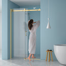 Modern Single Slide Shower Door, Tempered Glass, Stainless Steel Frame