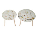 Nature-Inspired Side Tables (Set of 2)