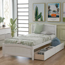 Platform Bed & Headboard, Footboard And Wood Slat Support