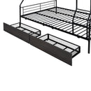Contemporary Bunk Bed